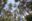 Минлесхоз рассказал в каких районах Беларуси можно ходить в лес без ограничений