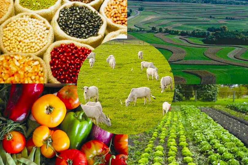 В январе – марте 2024 г. в области увеличилось производстве сельскохозяйственной продукции