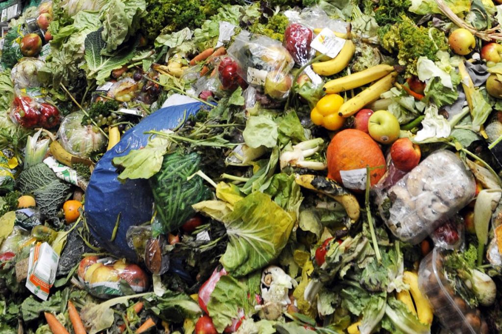 Около 1 млрд тонн продуктов питания оказывается на свалке. Кто выбрасывает больше всего?
