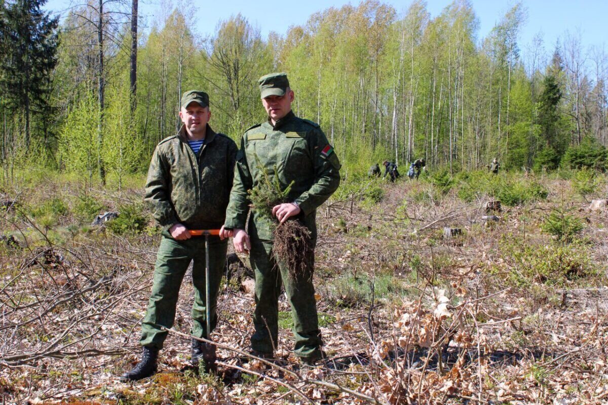 В 83 отдельном инженерно-аэродромном ордена Красной Звезды полку прошёл республиканский субботник