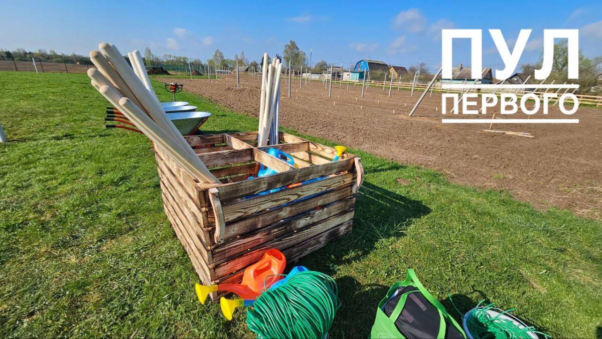 Президент Беларуси Александр Лукашенко в день республиканского субботника на своей малой родине высаживает яблоневый сад