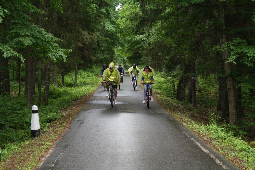 Велопробег «Дорога Памяти» пройдет в Беловежской пуще 4 мая