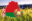12 мая – День Государственного флага, Государственного герба и Государственного гимна Республики Беларусь