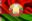 Поздравление с Днем Государственного флага, Государственного герба и Государственного гимна Республики Беларусь