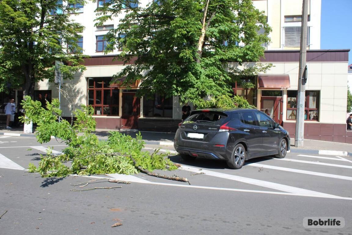 В Бобруйске на электрокар упало дерево
