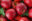 Польские яблоки на миллионы рублей незаконно везли через Беларусь в Россию
