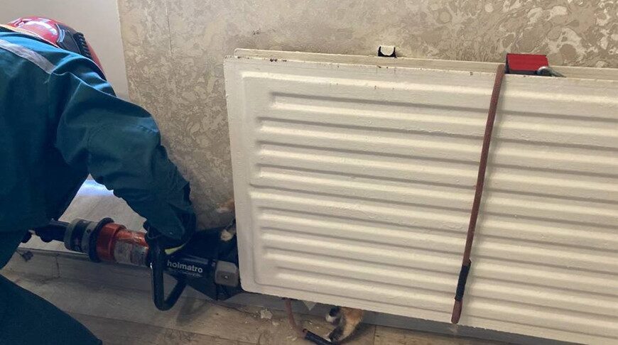 Спасатели в Березе помогли достать кошку, застрявшую в батарее отопления