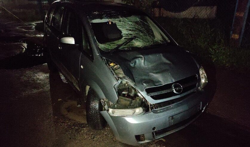 Шли из гаража домой. Стали известны подробности громкой аварии на Ковзана, где погиб врач