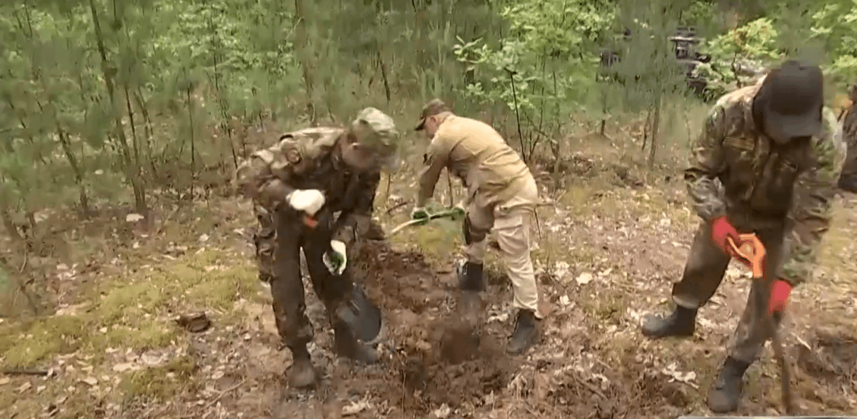 Поисковая экспедиция проходит в Осиповичском районе