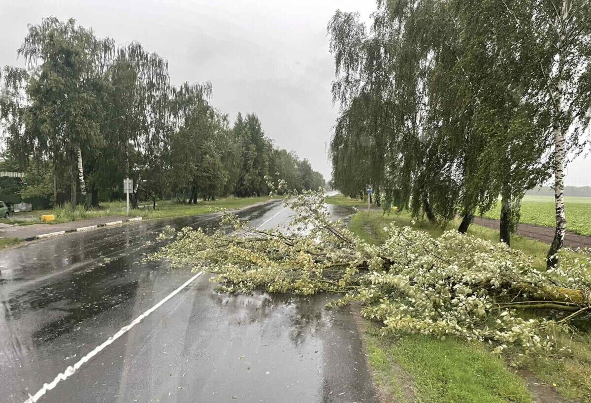 Последствия непогоды