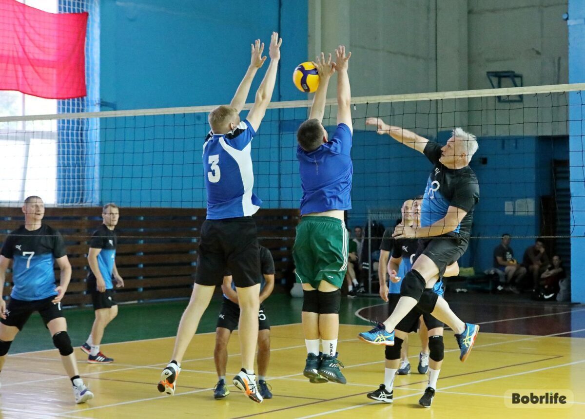 Бобруйские динамовцы играли в волейбол