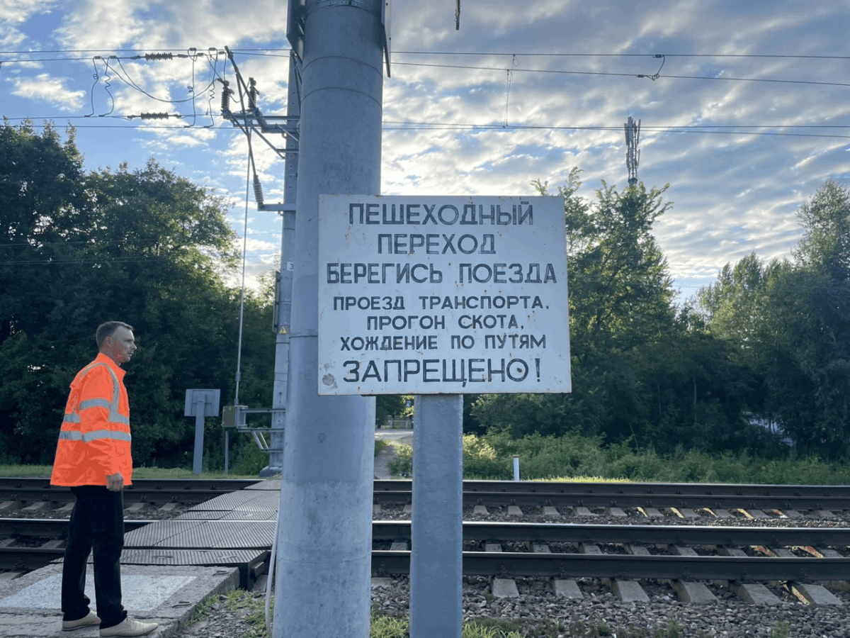 В Жлобине под поезд попала восьмилетняя девочка