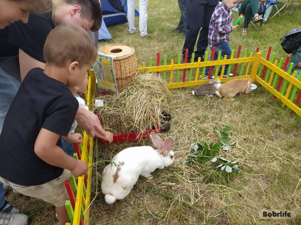 Уже совсем скоро у «Бобруйск-Арены» начнется праздничный концерт