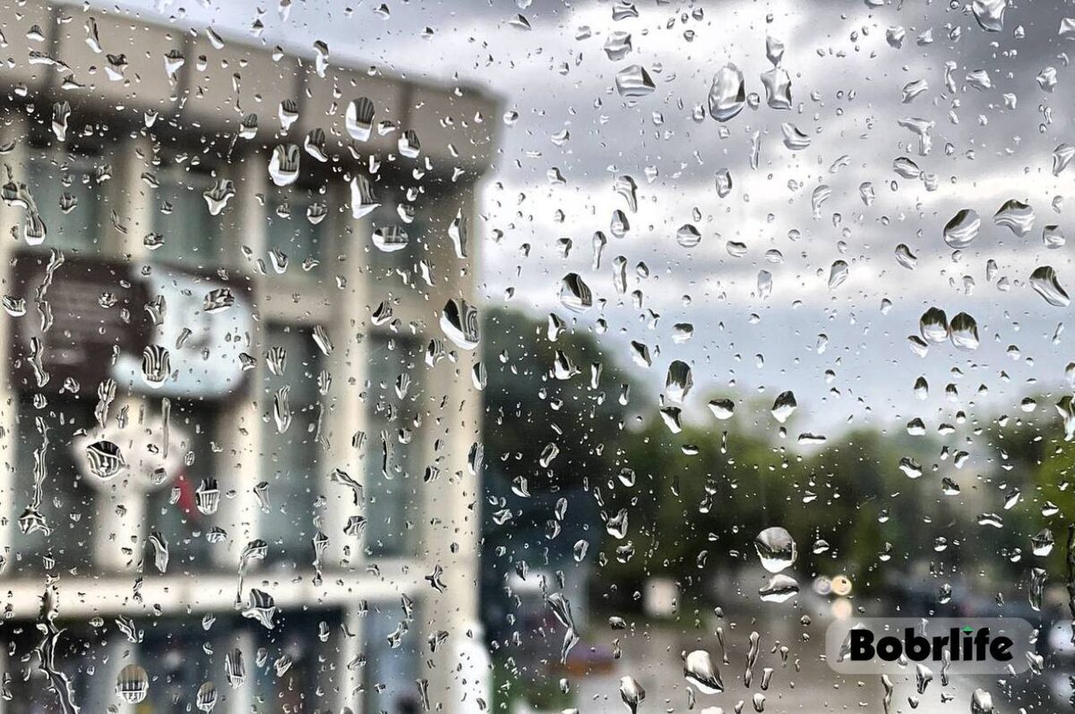 Погода на неделю: снова до +30°С к выходным, местами дожди, грозы