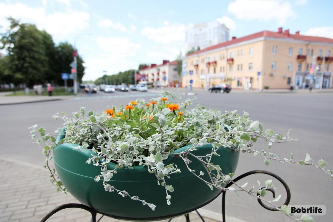 Какая погода будет в Беларуси сегодня, 10 августа – смотрим прогноз