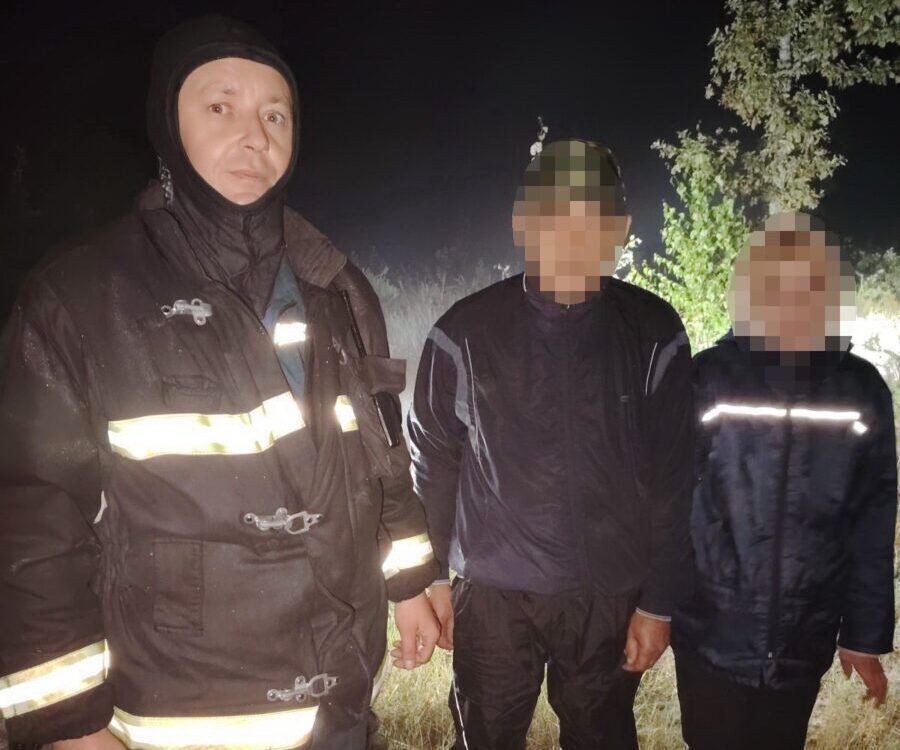В Бобруйском районе ночью искали двух грибников