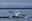 Олимпиада-2024: байдарочник Кравец стал финалистом Игр