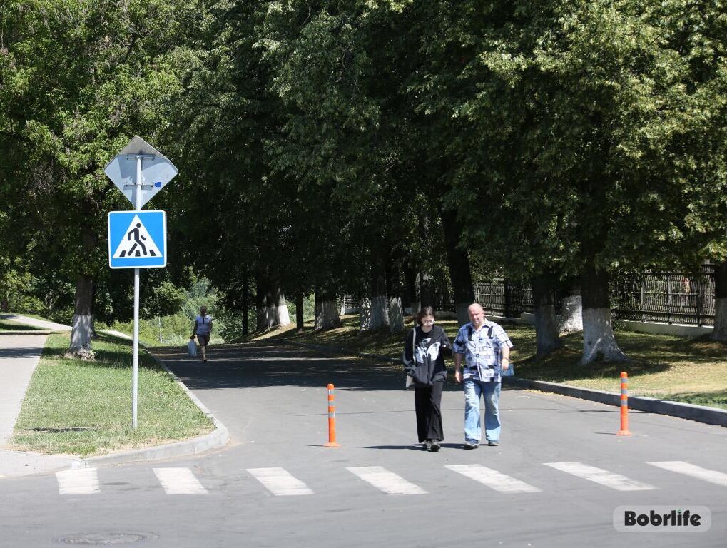 Потепление с середины следующей недели прогнозируют синоптики в Беларуси