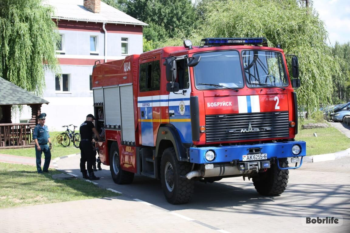 Бобруйские спасатели помогли освободить кота, застрявшего в батарее