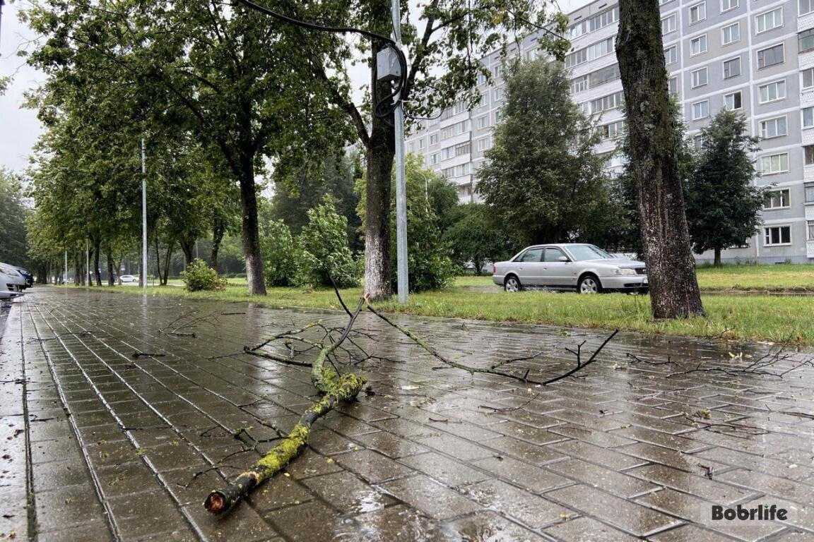 В МЧС предупредили о факторах опасности в связи с сильным ветром