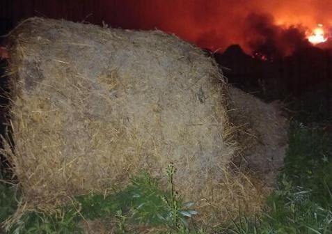 В Могилевском районе сгорели 4,5 тонны сена