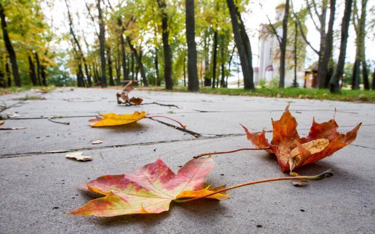 Прогноз погоды: в Могилевской области переменная облачность, без осадков