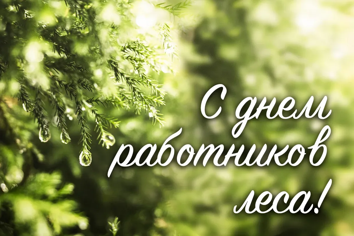 Уважаемые работники и ветераны лесной промышленности Бобруйска!
