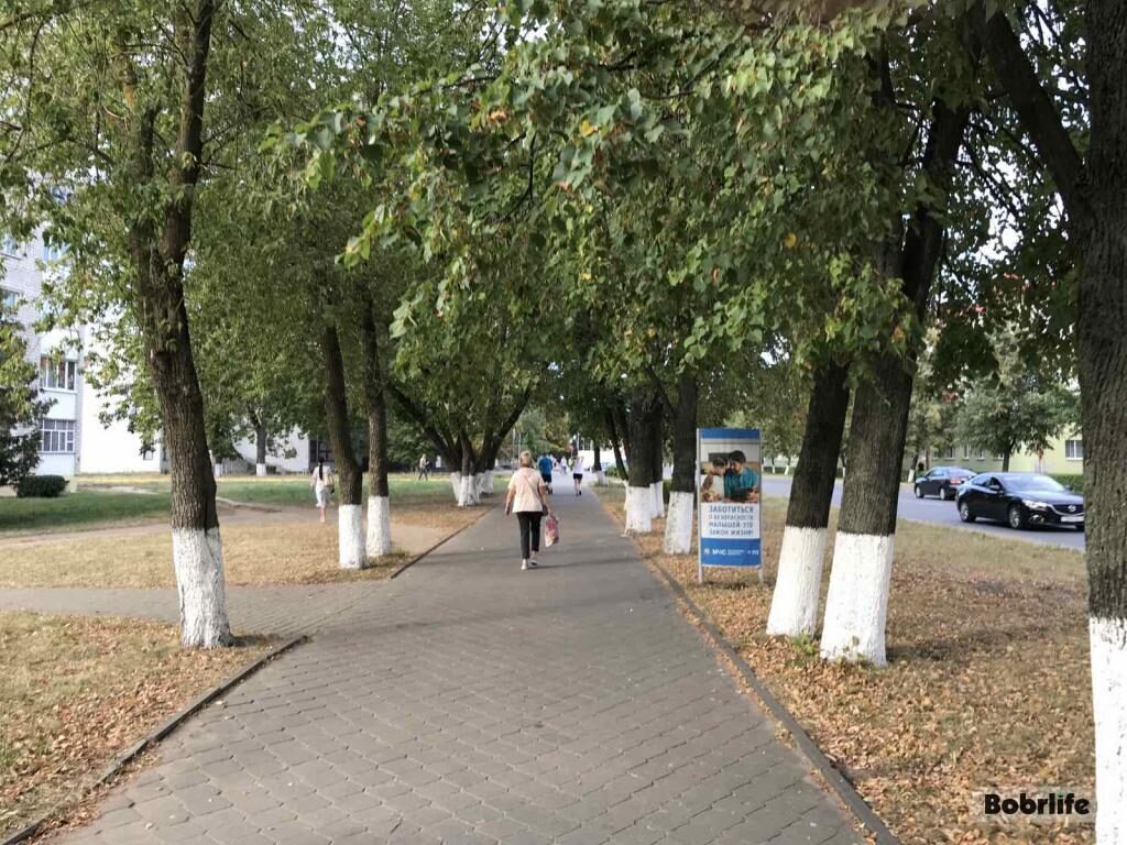 Какую погоду ждать? Рассказали в Белгидромете