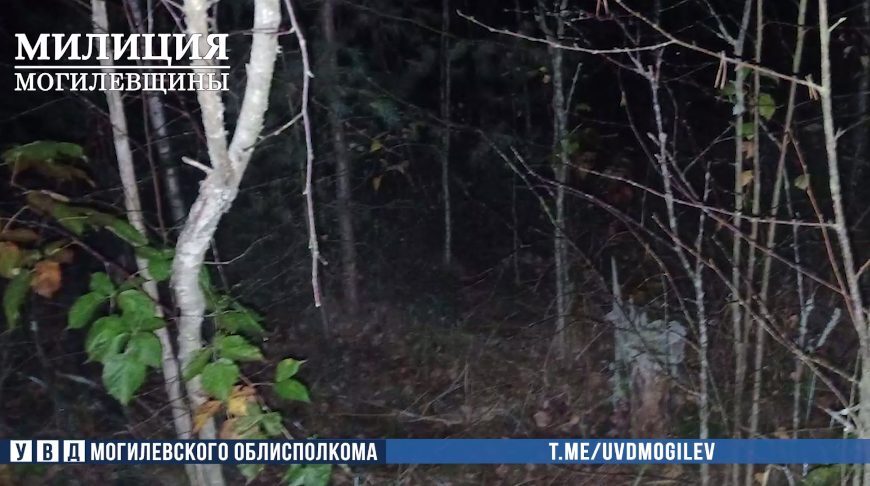 В Бобруйске задержали оптового наркокурьера
