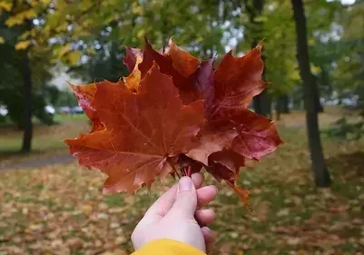 Прогноз погоды. Могилевская область