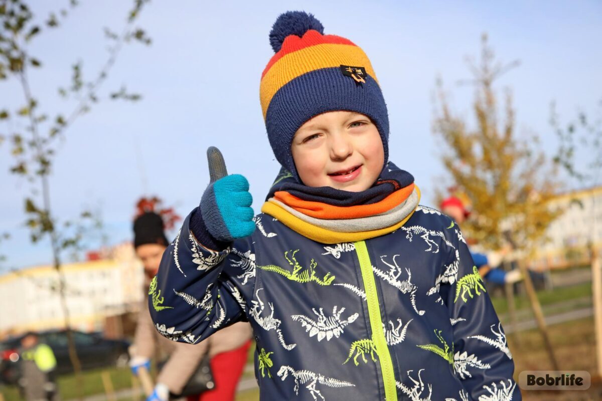 Бобруйск – зеленый город. Расскажем, где на субботнике посадили деревья