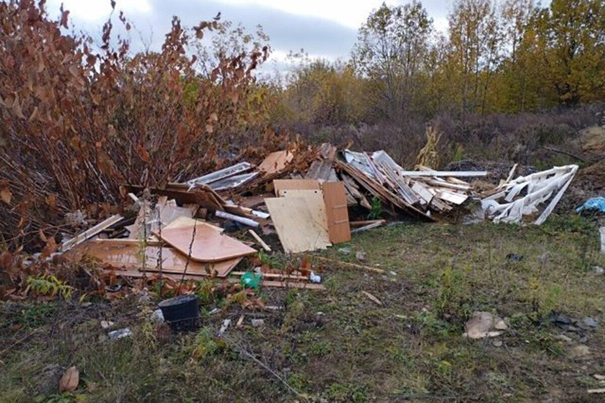 Минприроды: с 25 октября в Беларуси проводит мониторинг с целью выявления стихийных свалок