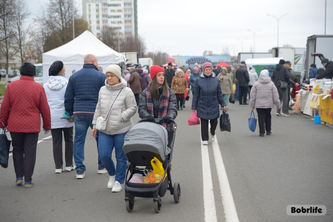 Все свежее. В Бобруйске продолжается ярмарка «Золотая осень»