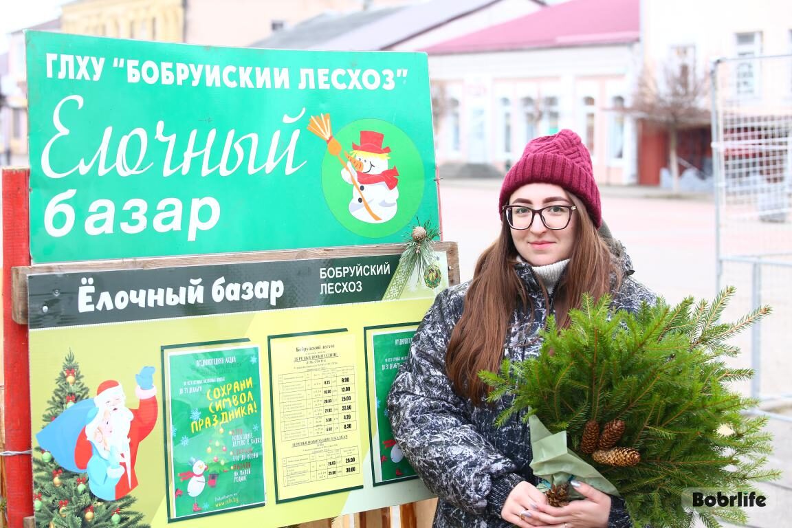 Праздник совсем близко! В Бобруйске работают елочные базары. Расскажем, что почем