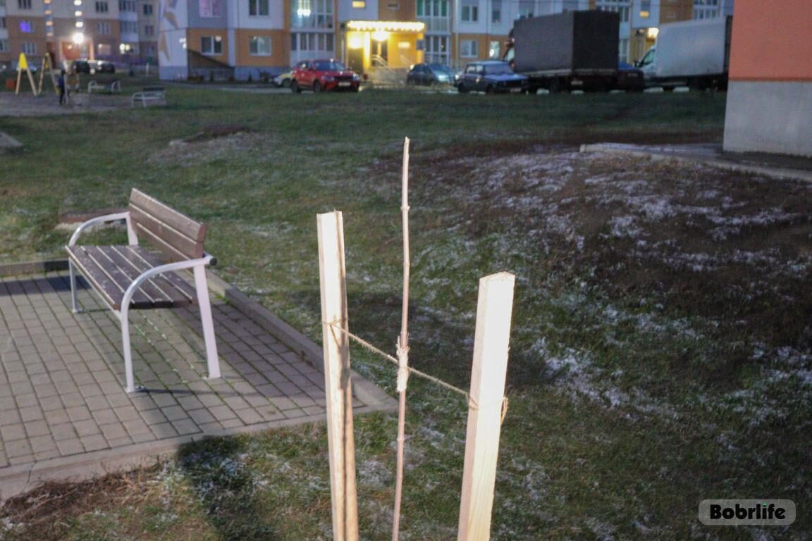 Берегите то, что есть: ДЭП Бобруйска призывает граждан к ответственности