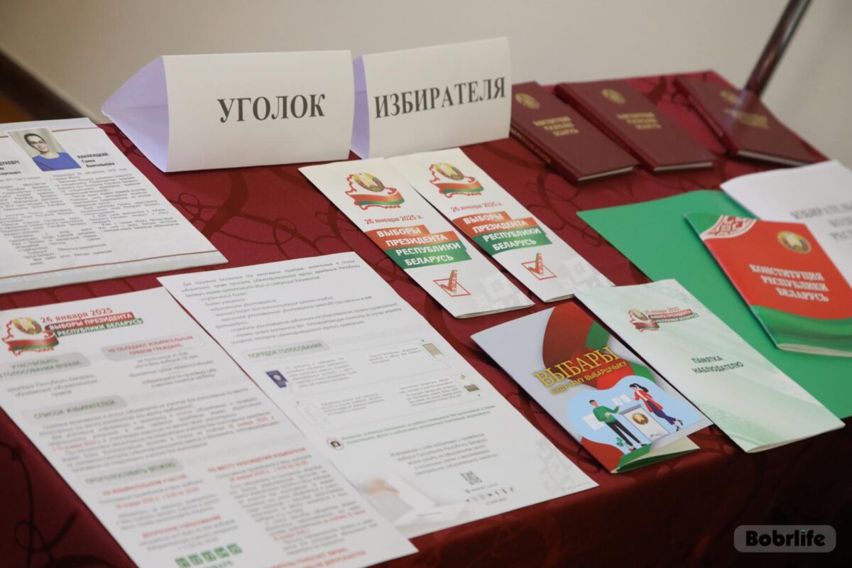 В Беларуси закрылись участки для голосования на выборах Президента