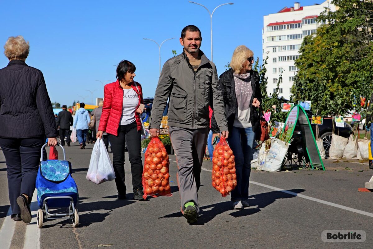Бобруйск в цифрах. Главное статистическое управление подвело итог 2024 года
