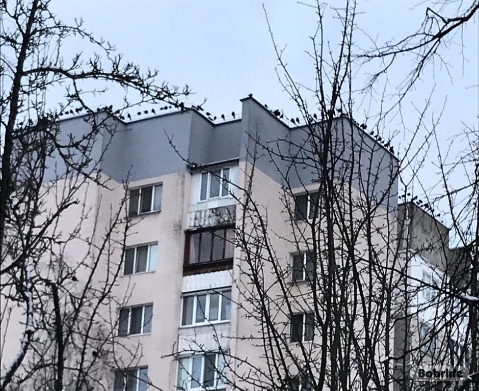 Народные приметы на 19 февраля: что нельзя делать в этот день