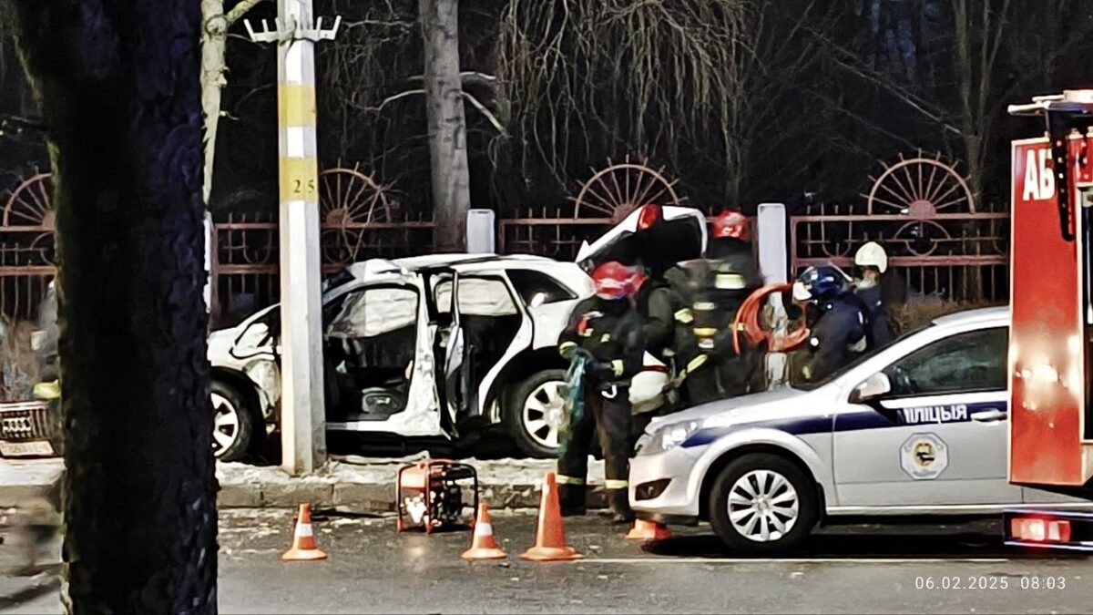 Серьезная авария в Бобруйске: на Интернациональной машина снесла дерево и врезалась в столб. Водитель в реанимации