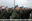 Белорусские военнослужащие принесли клятву на верность народу и Президенту