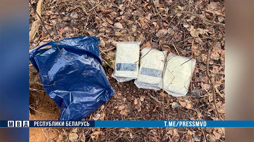 Семейную пару иностранцев задержали с крупной партией психотропов