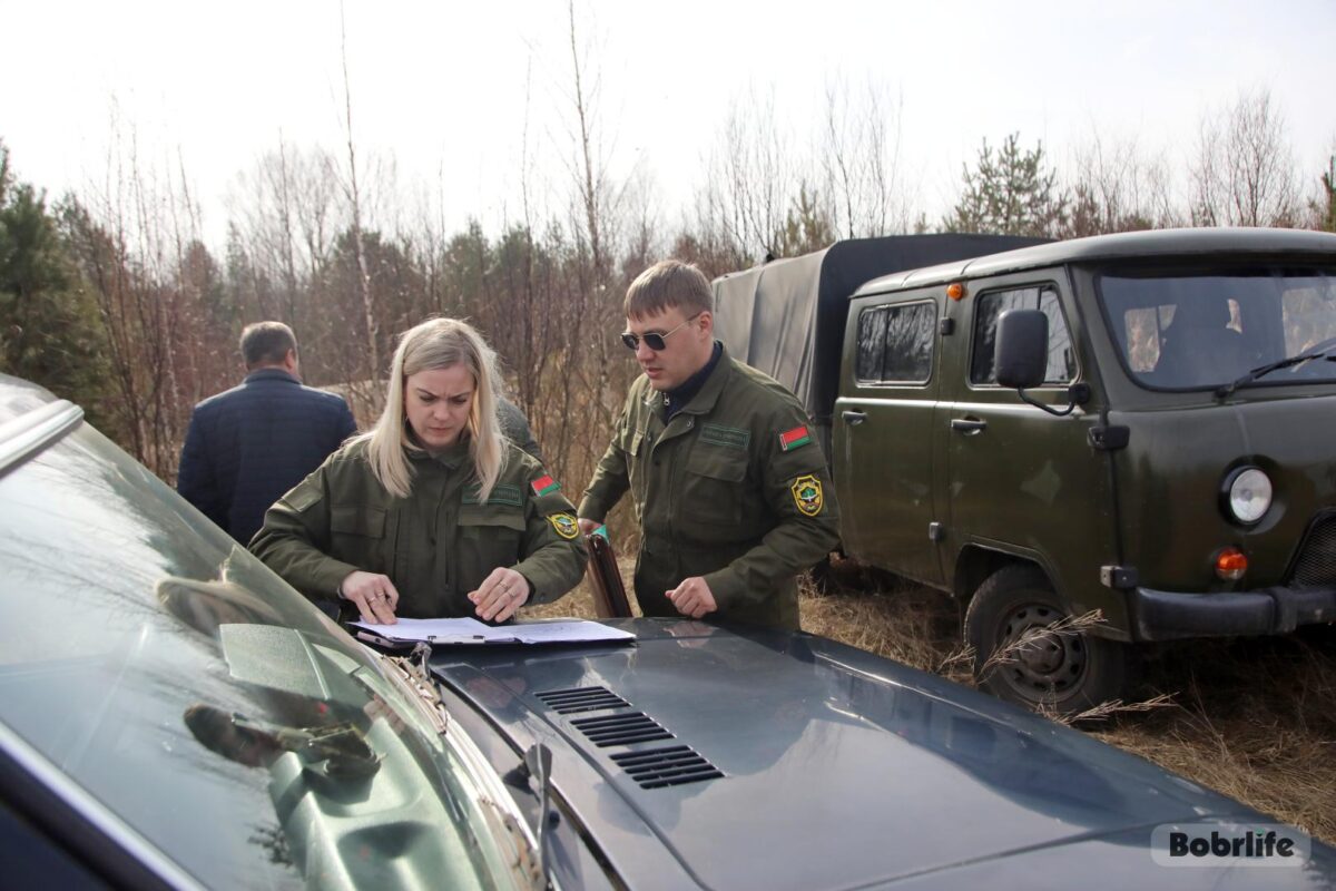 На постоянном контроле. В Бобруйске проходят рейды по выявлению несанкционированных свалок