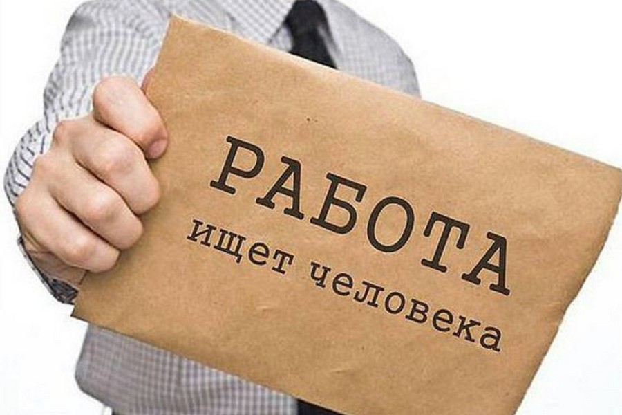 Отправить резюме. Подборка вакансий в Бобруйске с зарплатами от 1,5 до 3 тысяч рублей