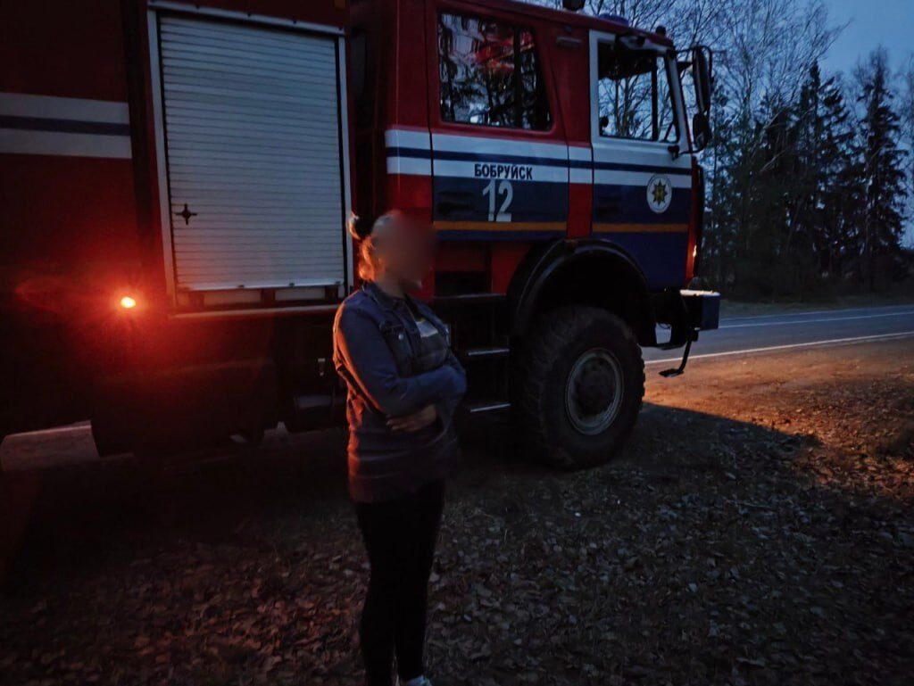 В Бобруйском районе женщина заблудилась в лесу: помогли спасатели