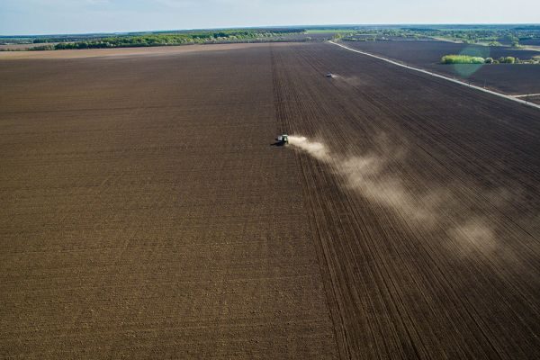 Сев ранних яровых в Беларуси завершили на более чем 90%