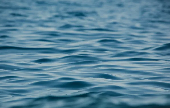 Температура воды в реках и озерах Беларуси продолжит повышаться