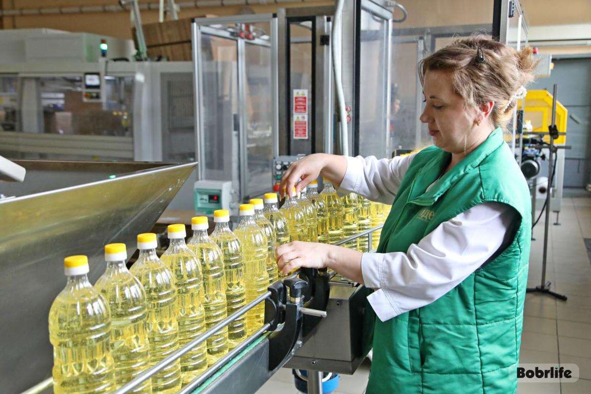 Рапсовое масло из Бобруйска: несомненная польза и экспортный потенциал