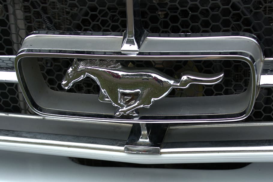 Ford Mustang приедут в Бобруйск. Где можно на них посмотреть?