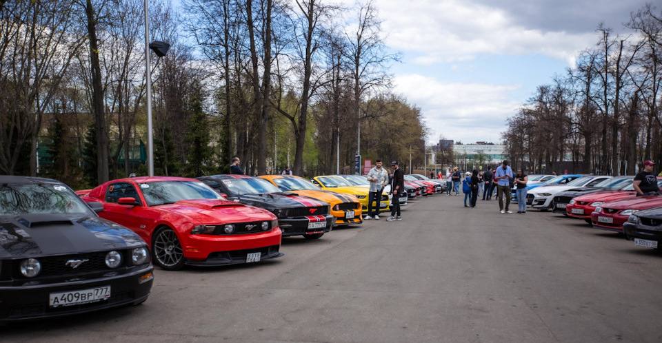 В Бобруйске уже 16 июня пройдет автопробег и выставка автомобилей FORD MUSTANG