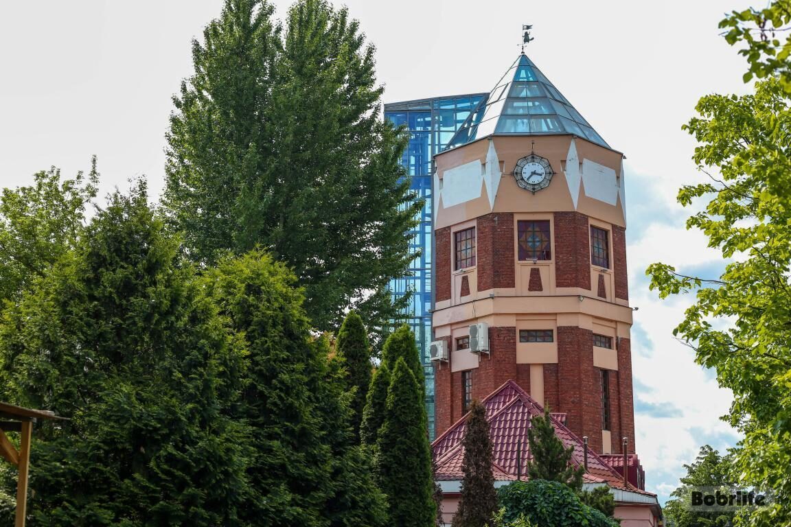 Буйство красок на солнце. Летний Бобруйск продолжает радовать красотой